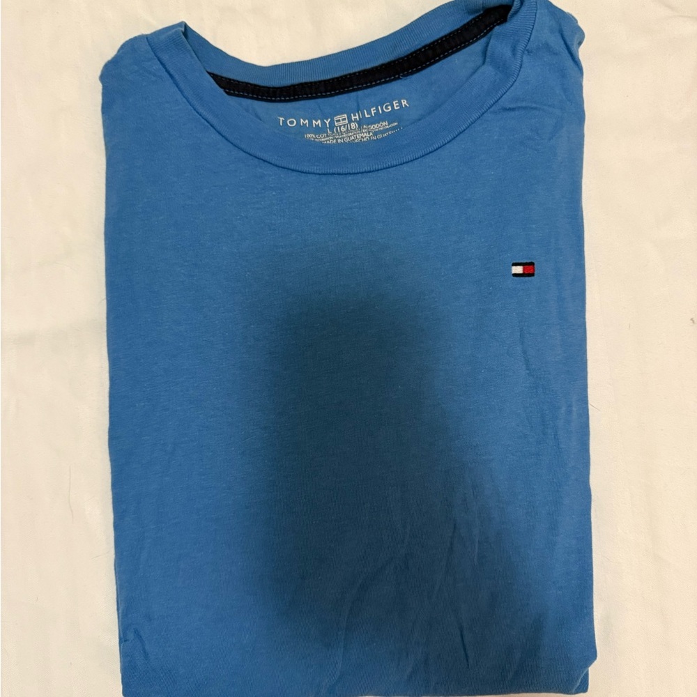 Tommy Hilfiger Men's Sky Blue Tee
